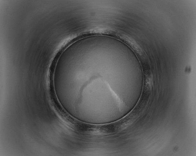 X0000101200678200807071315