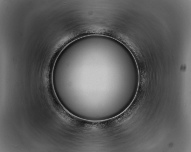 X0000101200679200807071315