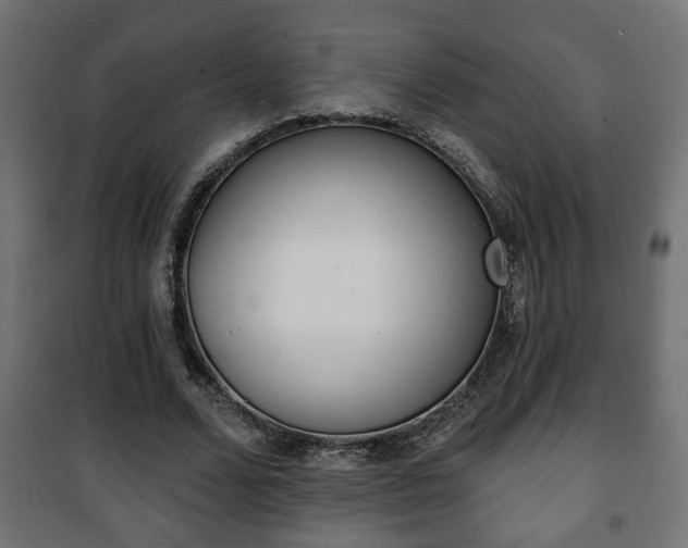X0000101200680200807071315
