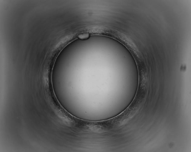 X0000101200681200807071315