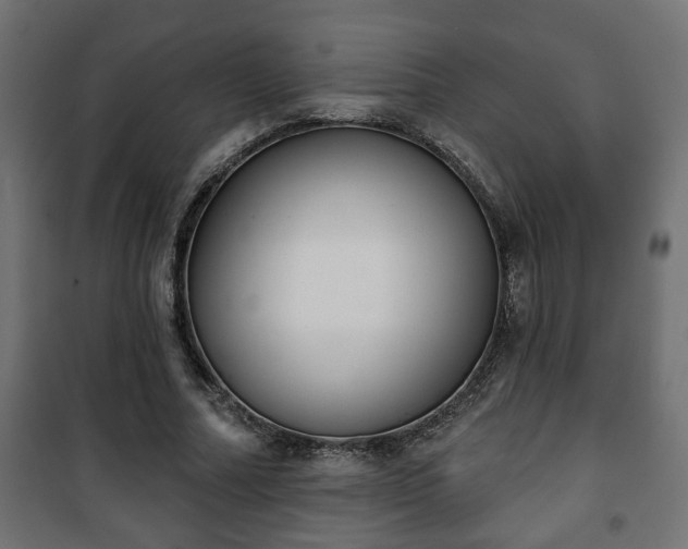 X0000101200682200807071315
