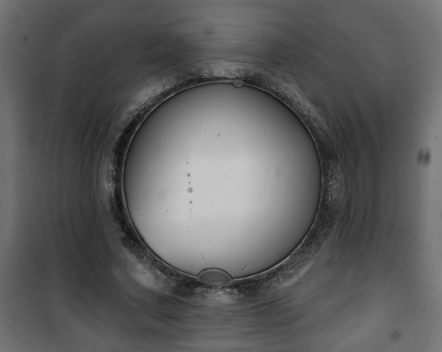 X0000101200683200807071315