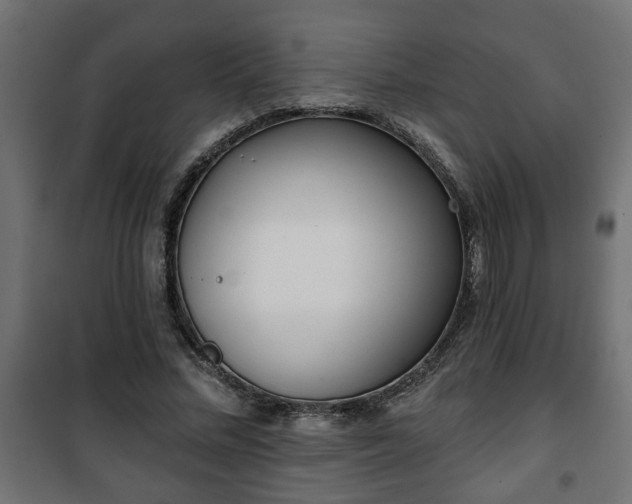 X0000101200684200807071315