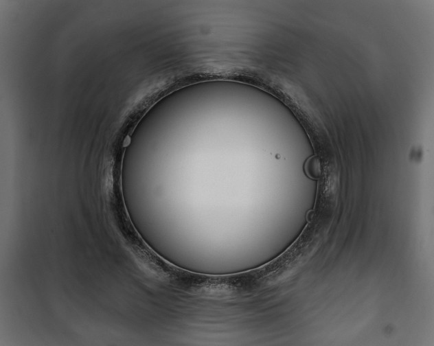 X0000101200685200807071315