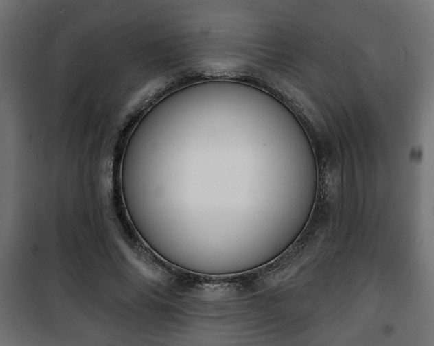 X0000101200686200807071315