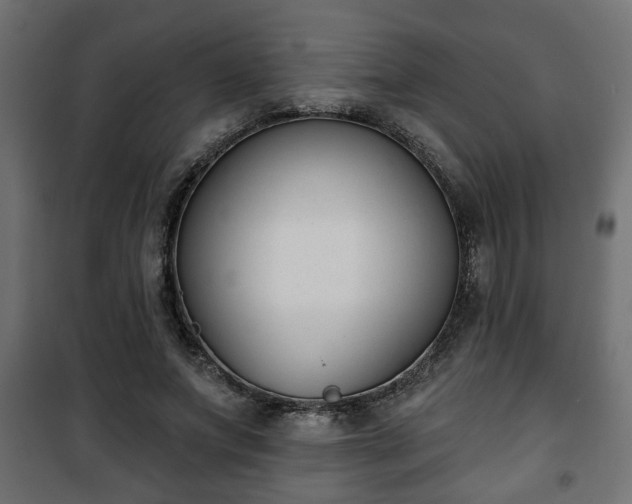X0000101200687200807071315