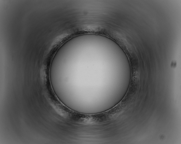 X0000101200688200807071315