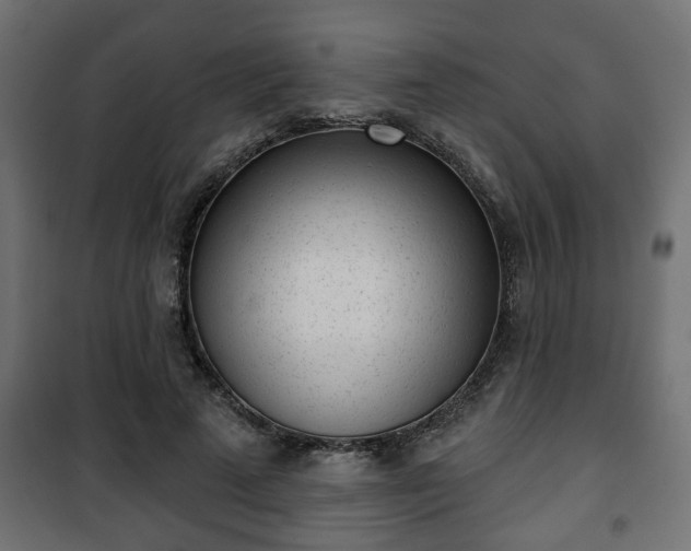 X0000101200689200807071315