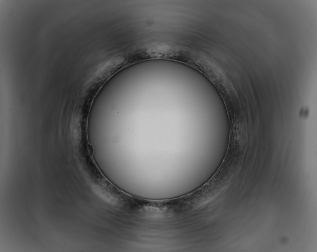 X0000101200690200807071314