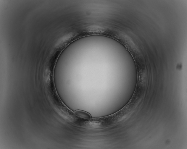 X0000101200692200807071314