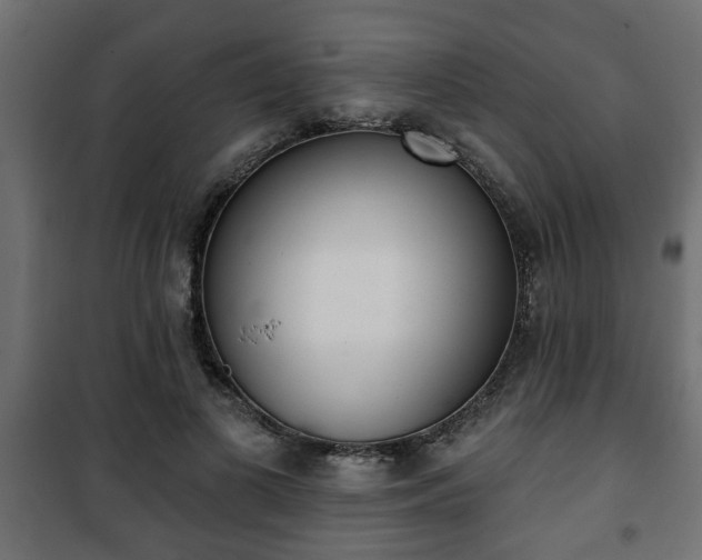X0000101200693200807071314
