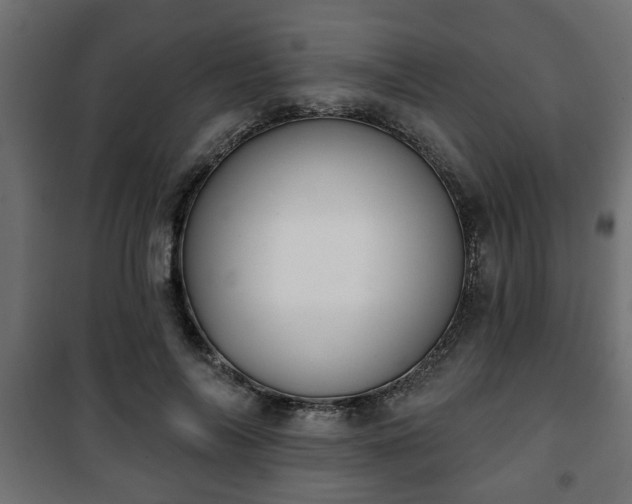 X0000101200694200807071314