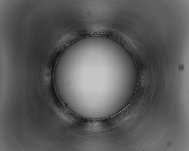 X0000101200695200807071314