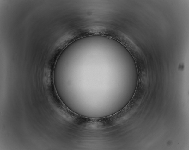 X0000101200696200807071314