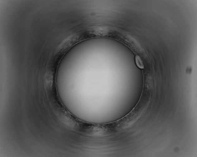 X0000101200697200807071314