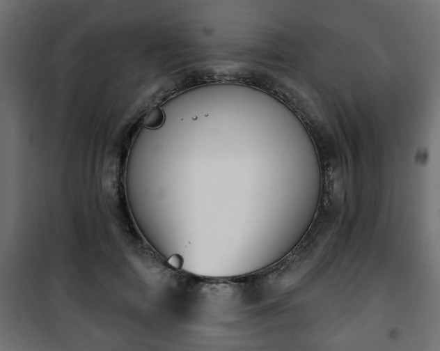 X0000101200698200807071314