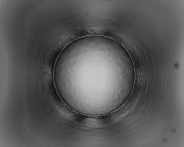 X0000101200699200807071314