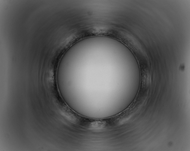 X0000101200700200807071314