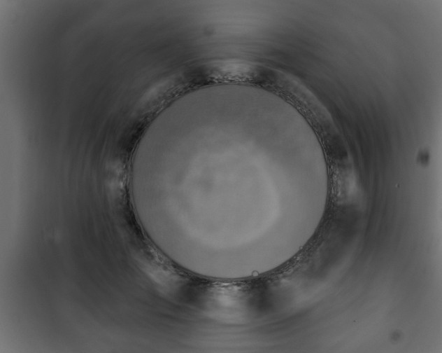 X0000101200701200807071314