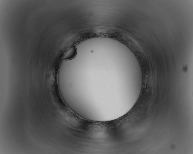 X0000101200702200807071314