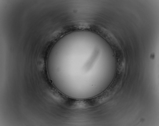 X0000101200704200807071314