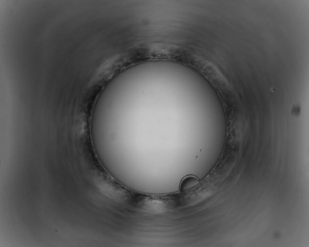 X0000101200706200807071314