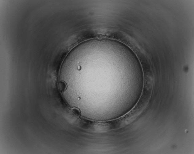 X0000101200707200807071314