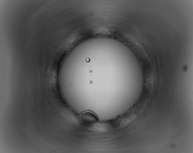 X0000101200708200807071314