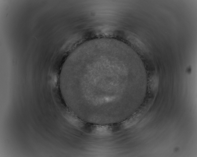X0000101200709200807071314