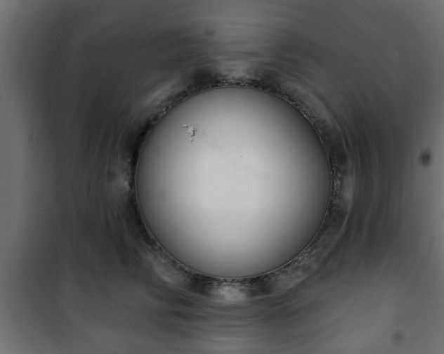 X0000101200710200807071314