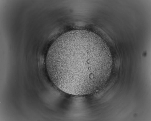 X0000101200711200807071314