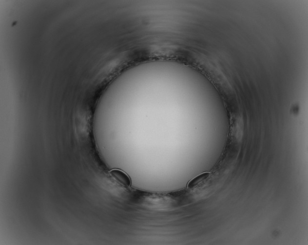 X0000101200712200807071314