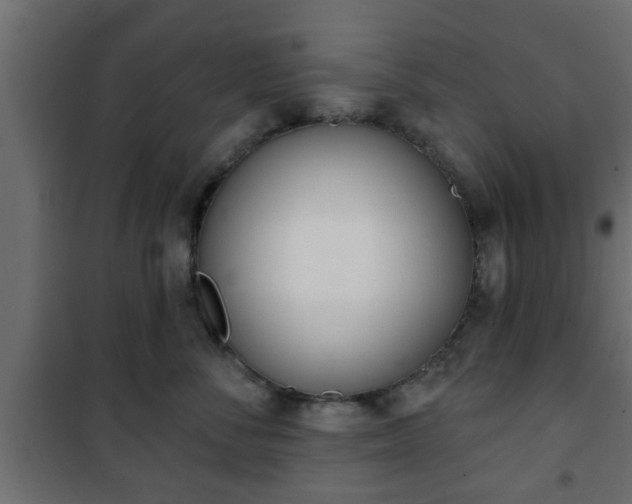 X0000101200716200807071314
