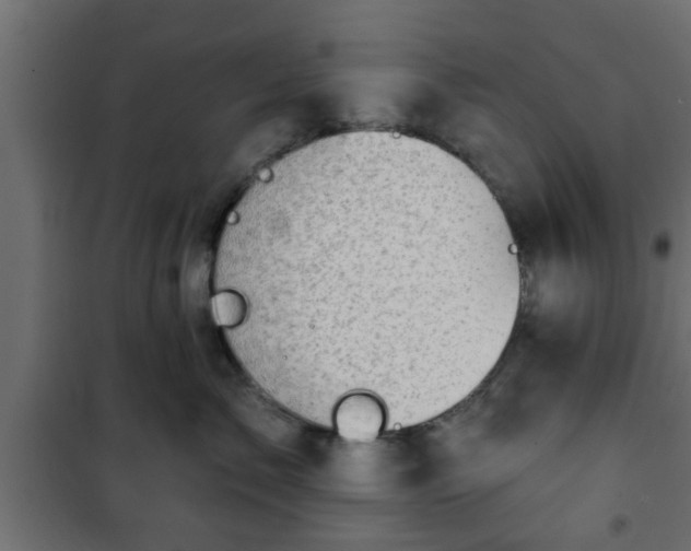X0000101200717200807071314