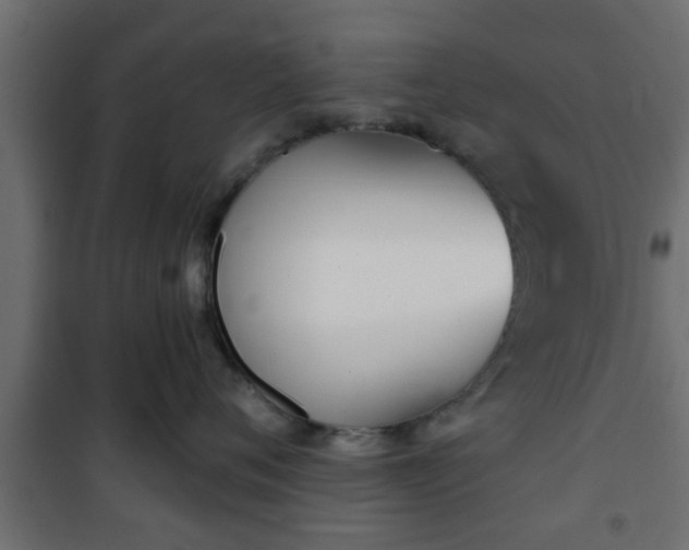 X0000101200720200807071314