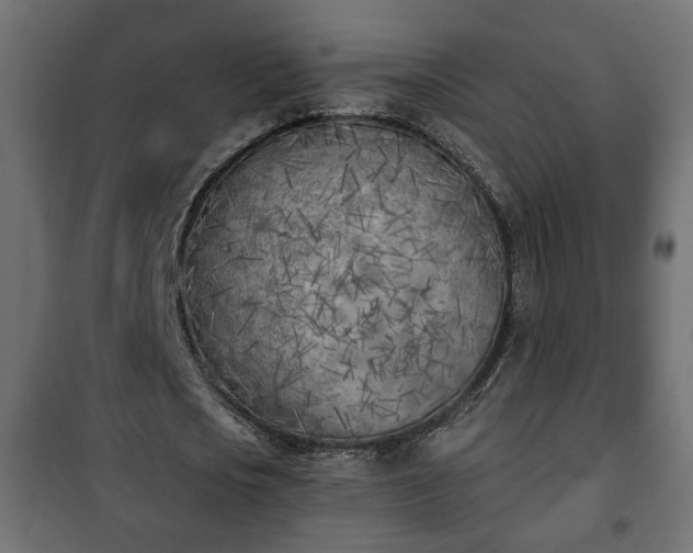 X0000101200721200807071313
