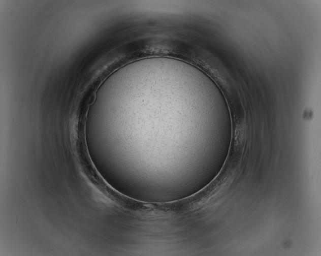 X0000101200722200807071313
