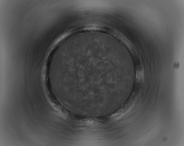 X0000101200724200807071313