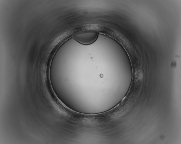 X0000101200725200807071313