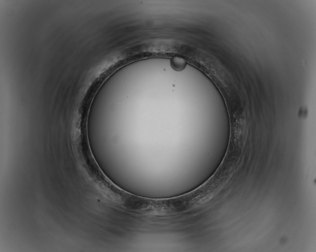 X0000101200727200807071313