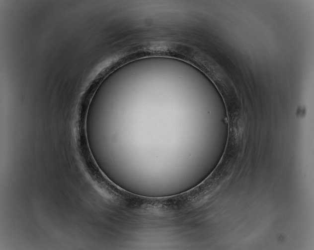 X0000101200728200807071313