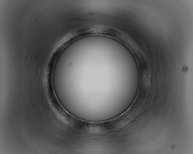 X0000101200730200807071313
