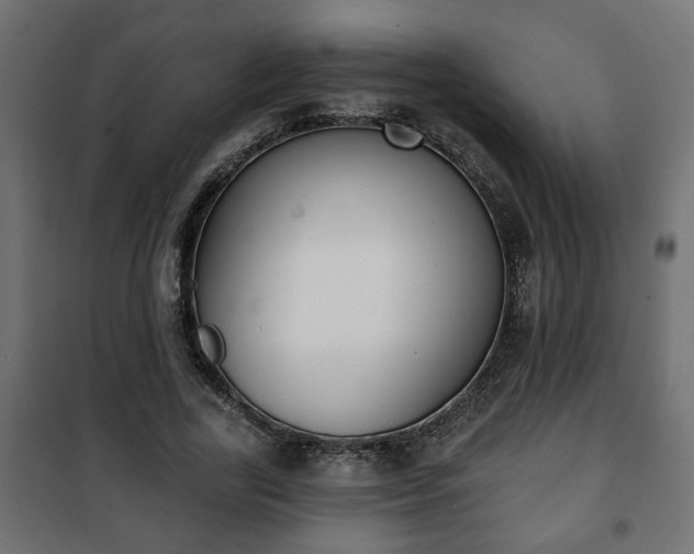 X0000101200731200807071313