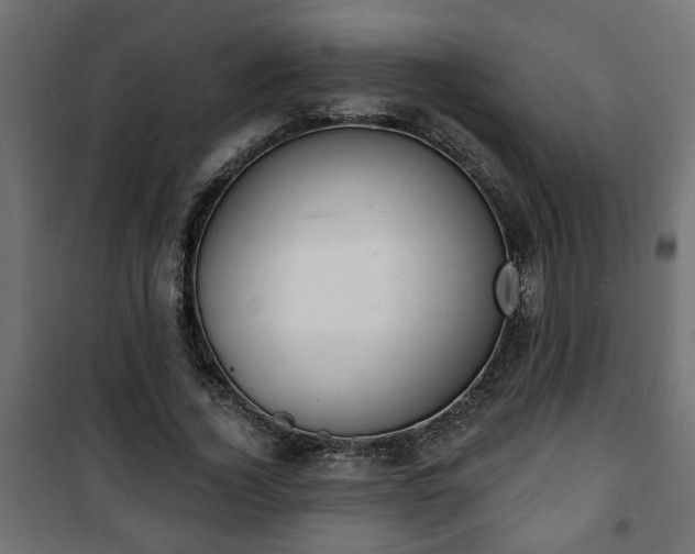 X0000101200732200807071313