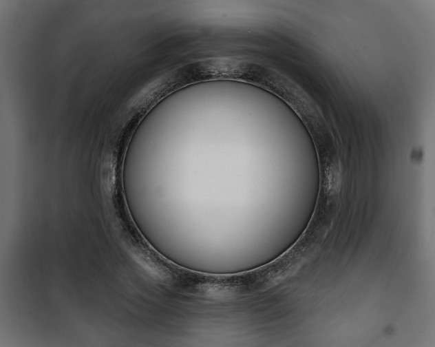X0000101200733200807071313