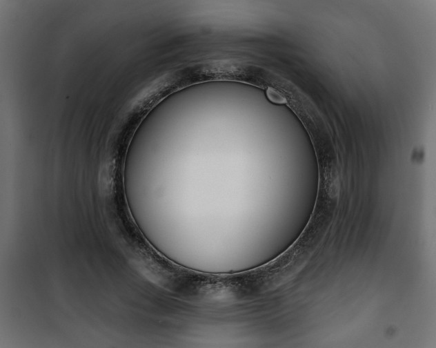 X0000101200735200807071314