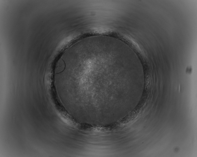 X0000101200736200807071314