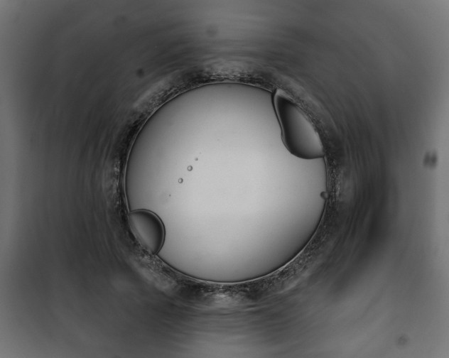 X0000101200737200807071314