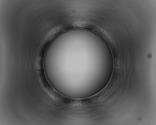 X0000101200738200807071314