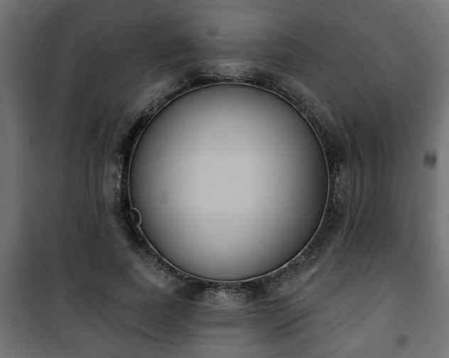 X0000101200739200807071314